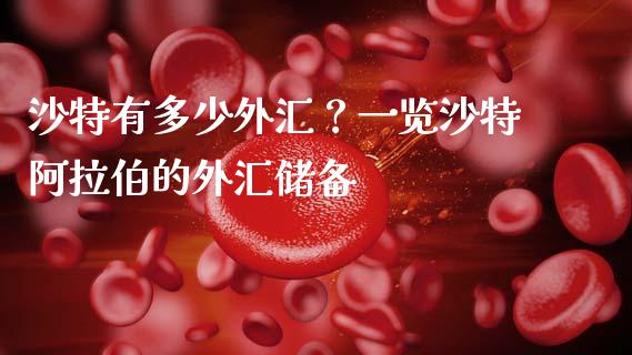 沙特有多少外汇？一览沙特阿拉伯的外汇储备_https://m.letulww.com_股指期货交易时间_第1张