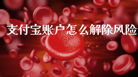 支付宝账户怎么解除风险_https://m.letulww.com_期货开户保证金_第1张