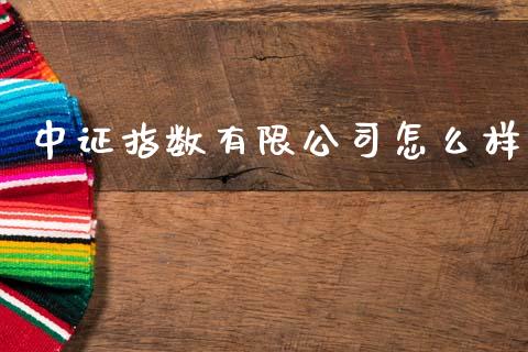 中证指数有限公司怎么样_https://m.letulww.com_期货交易策略_第1张