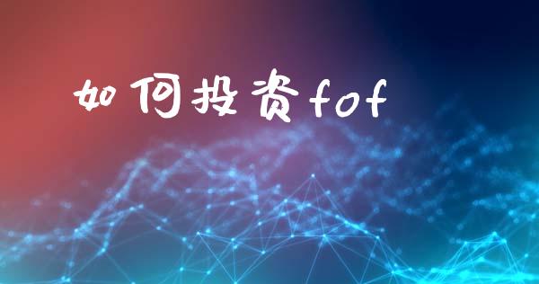 如何投资fof_https://m.letulww.com_股指期货交易时间_第1张