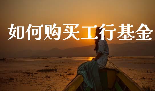 如何购买工行基金_https://m.letulww.com_期货开户保证金_第1张