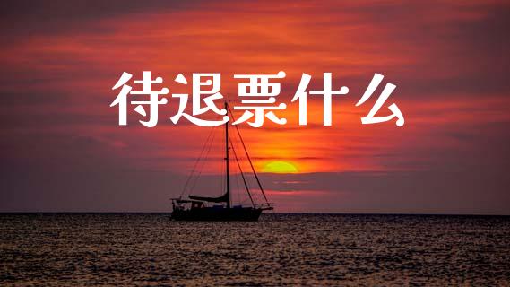 待退票什么_https://m.letulww.com_期货开户保证金_第1张