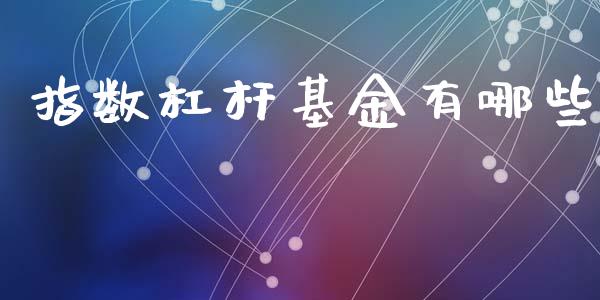 指数杠杆基金有哪些_https://m.letulww.com_期货开户保证金_第1张
