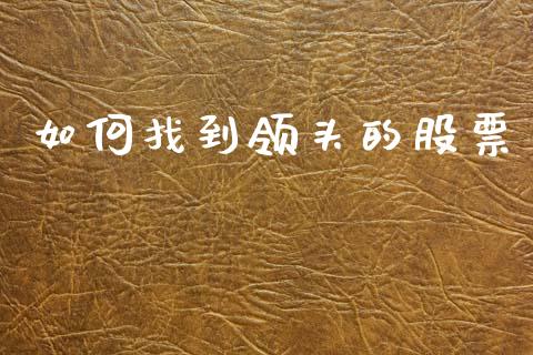 如何找到领头的股票_https://m.letulww.com_期货交易软件_第1张