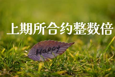 上期所合约整数倍_https://m.letulww.com_期货开户保证金_第1张