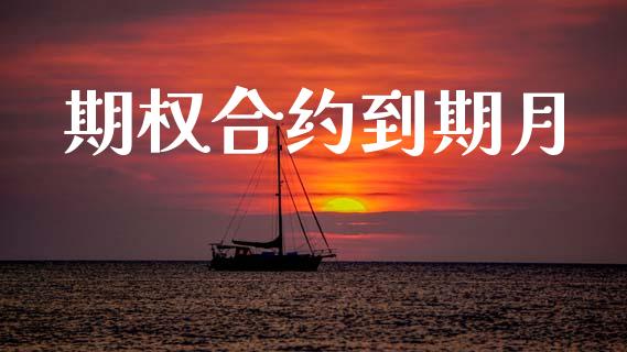 期权合约到期月_https://m.letulww.com_期货交易软件_第1张
