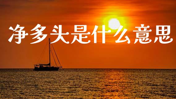 净多头是什么意思_https://m.letulww.com_期货交易策略_第1张