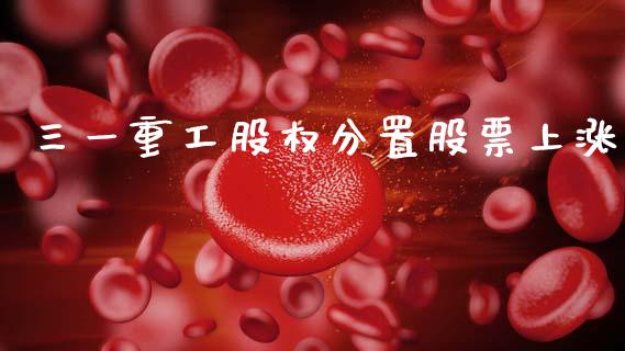 三一重工股权分置股票上涨_https://m.letulww.com_股指期货交易时间_第1张