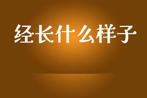 经长什么样子_https://m.letulww.com_股指期货交易时间_第1张