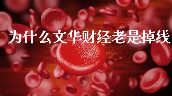 为什么文华财经老是掉线_期货开户保证金_第1张_期货开户保证金_期货交易软件_股指期货交易时间_期货交易策略 为什么文华财经老是掉线_https://m.letulww.com_期货开户保证金_第1张
