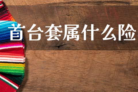 首台套属什么险_https://m.letulww.com_期货交易策略_第1张
