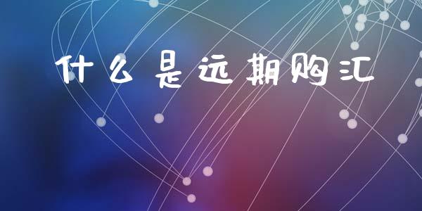 什么是远期购汇_https://m.letulww.com_期货交易软件_第1张