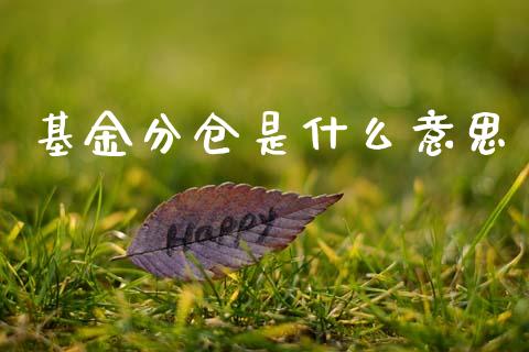 基金分仓是什么意思_https://m.letulww.com_期货交易策略_第1张