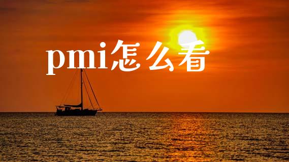 pmi怎么看_https://m.letulww.com_期货开户保证金_第1张