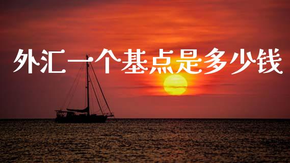 外汇一个基点是多少钱_https://m.letulww.com_期货交易软件_第1张
