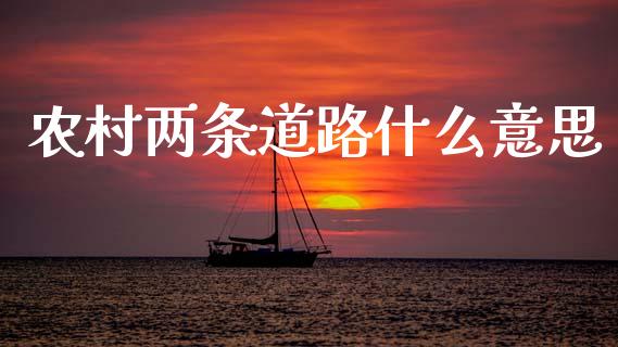 农村两条道路什么意思_https://m.letulww.com_期货交易策略_第1张