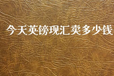 今天英镑现汇卖多少钱_https://m.letulww.com_期货交易软件_第1张