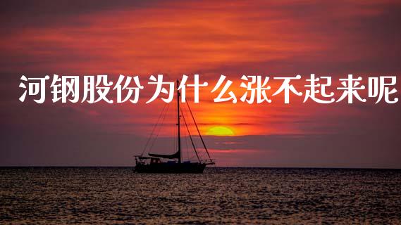 河钢股份为什么涨不起来呢_https://m.letulww.com_期货交易软件_第1张