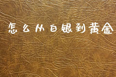 怎么从白银到黄金_https://m.letulww.com_期货交易软件_第1张