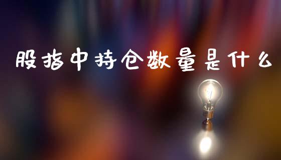 股指中持仓数量是什么_https://m.letulww.com_期货交易策略_第1张