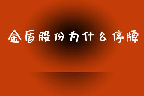 金盾股份为什么停牌_https://m.letulww.com_期货交易软件_第1张