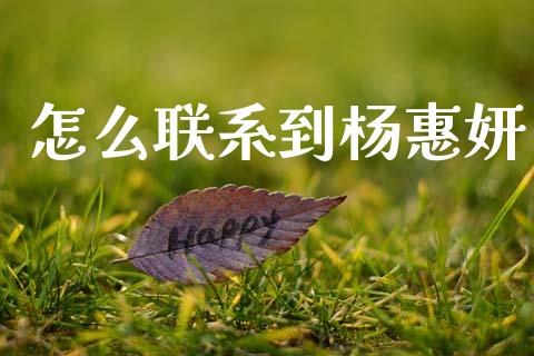 怎么联系到杨惠妍_https://m.letulww.com_股指期货交易时间_第1张