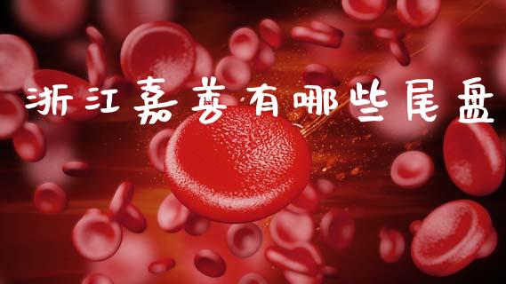 浙江嘉善有哪些尾盘_https://m.letulww.com_股指期货交易时间_第1张