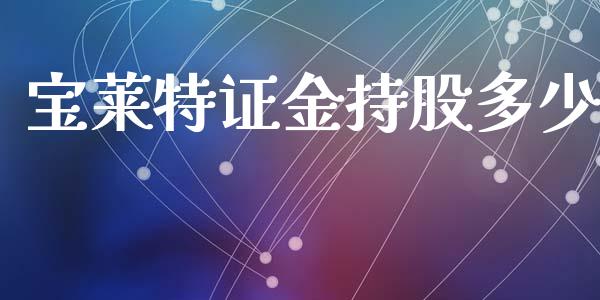 宝莱特证金持股多少_https://m.letulww.com_股指期货交易时间_第1张