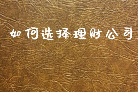 如何选择理财公司_https://m.letulww.com_期货开户保证金_第1张