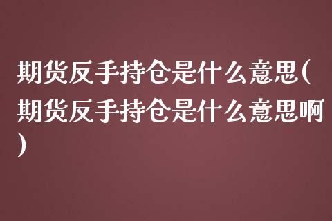 期货反手持仓是什么意思(期货反手持仓是什么意思啊)_https://m.letulww.com_股指期货交易时间_第1张