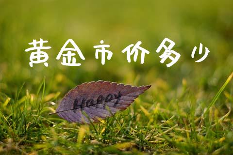 黄金市价多少_https://m.letulww.com_期货交易策略_第1张