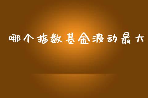哪个指数基金波动最大_https://m.letulww.com_期货交易策略_第1张