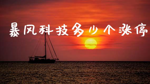 暴风科技多少个涨停_https://m.letulww.com_期货开户保证金_第1张