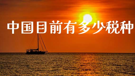 中国目前有多少税种_https://m.letulww.com_期货交易软件_第1张