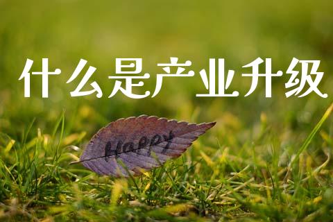 什么是产业升级_https://m.letulww.com_股指期货交易时间_第1张