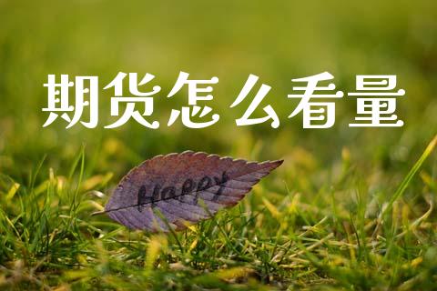 期货怎么看量_https://m.letulww.com_股指期货交易时间_第1张