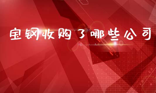 宝钢收购了哪些公司_https://m.letulww.com_期货交易软件_第1张