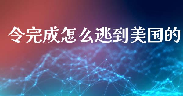 令完成怎么逃到美国的_https://m.letulww.com_期货开户保证金_第1张