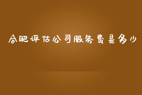 合肥评估公司服务费是多少_https://m.letulww.com_期货交易软件_第1张