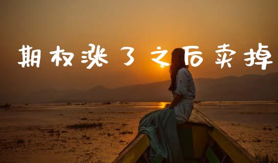 期权涨了之后卖掉_https://m.letulww.com_期货交易软件_第1张