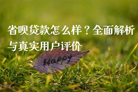 省呗贷款怎么样?全面解析与真实用户评价_期货交易软件_第1张_期货开户保证金_期货交易软件_股指期货交易时间_期货交易策略 省呗贷款怎么样?全面解析与真实用户评价_https://m.letulww.com_期货交易软件_第1张