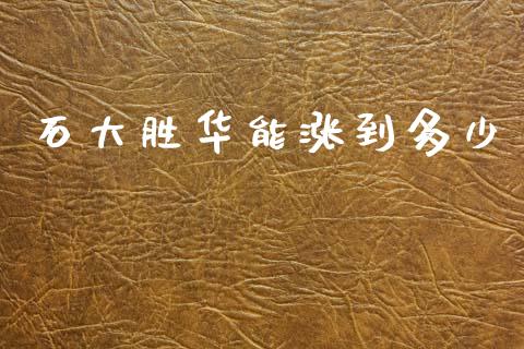 石大胜华能涨到多少_https://m.letulww.com_期货交易软件_第1张