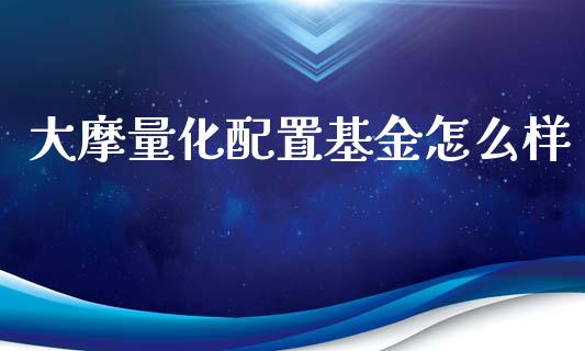 大摩量化配置基金怎么样_https://m.letulww.com_期货开户保证金_第1张
