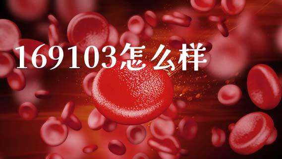 169103怎么样_https://m.letulww.com_期货交易策略_第1张