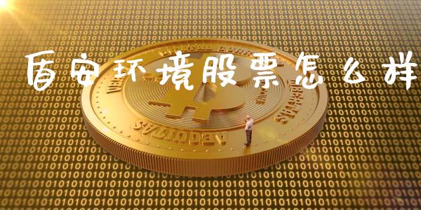 盾安环境股票怎么样_https://m.letulww.com_股指期货交易时间_第1张