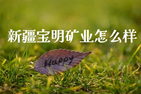 新疆宝明矿业怎么样_https://m.letulww.com_期货交易策略_第1张