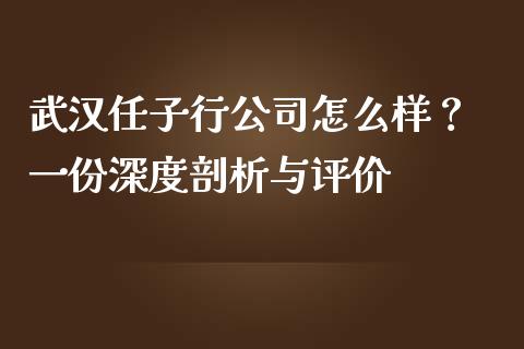 武汉任子行公司怎么样？ 一份深度剖析与评价_https://m.letulww.com_期货交易软件_第1张