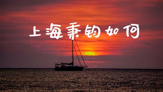 上海秉钧如何_https://m.letulww.com_期货交易策略_第1张