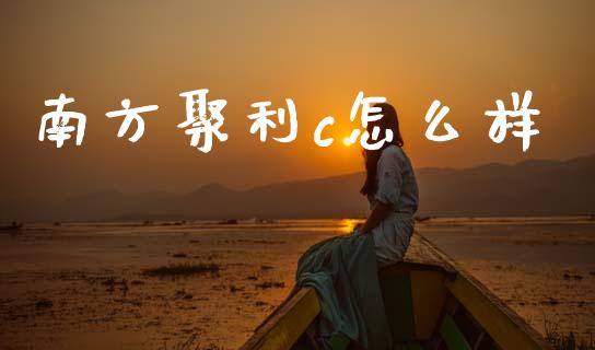 南方聚利c怎么样_https://m.letulww.com_期货交易策略_第1张