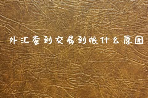 外汇查到交易到帐什么原因_https://m.letulww.com_股指期货交易时间_第1张